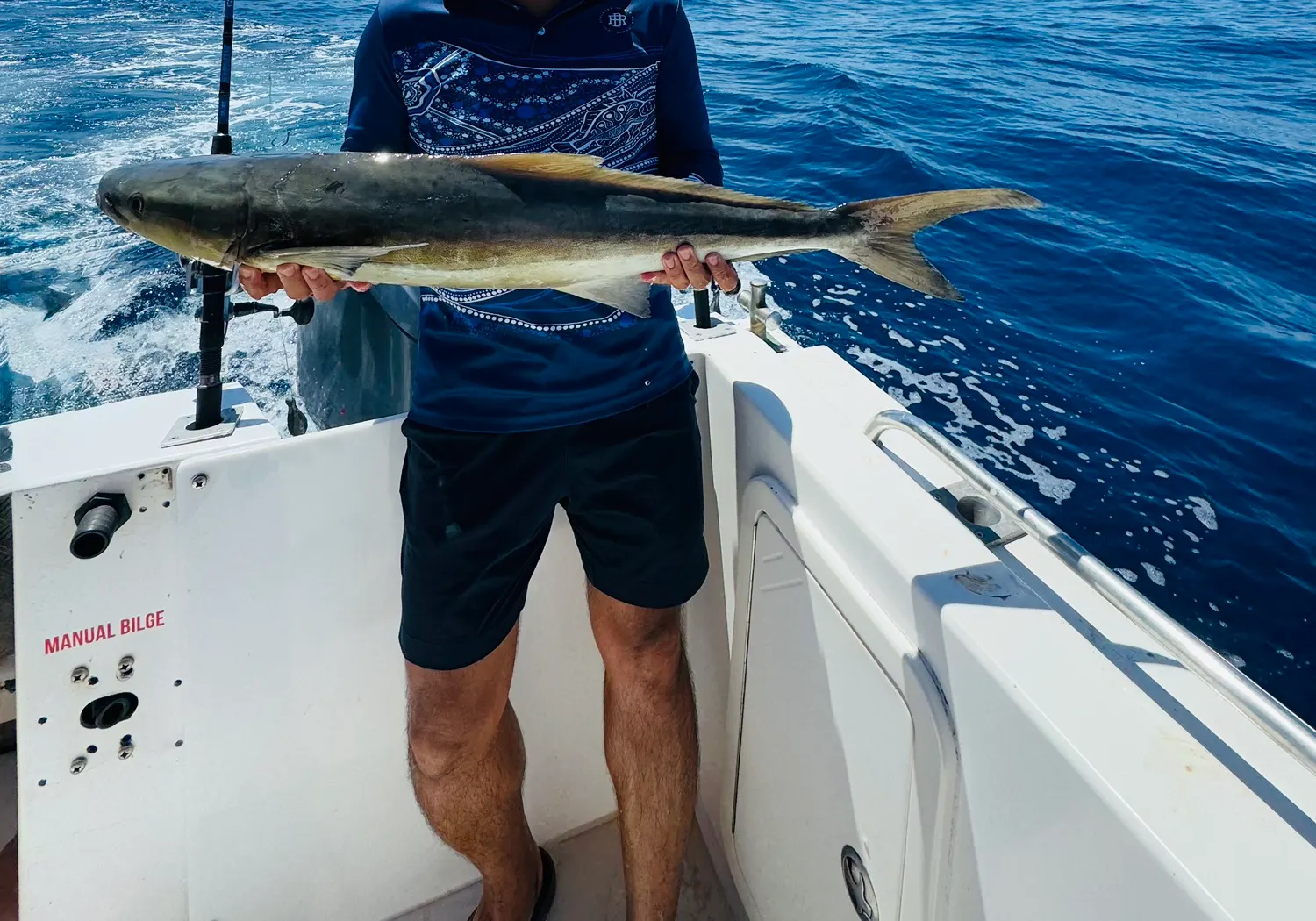 Cobia