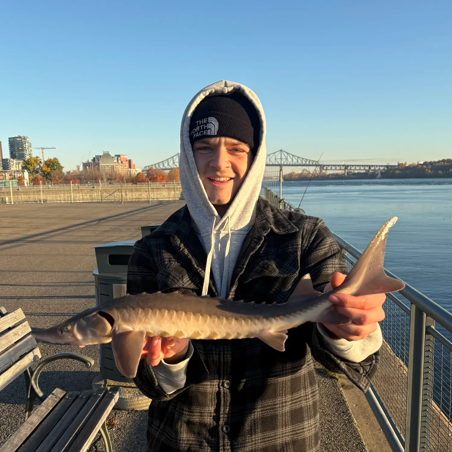Lake sturgeon caught on Fishbrain