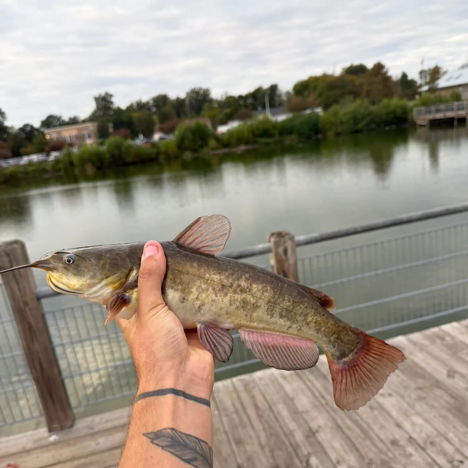 catch