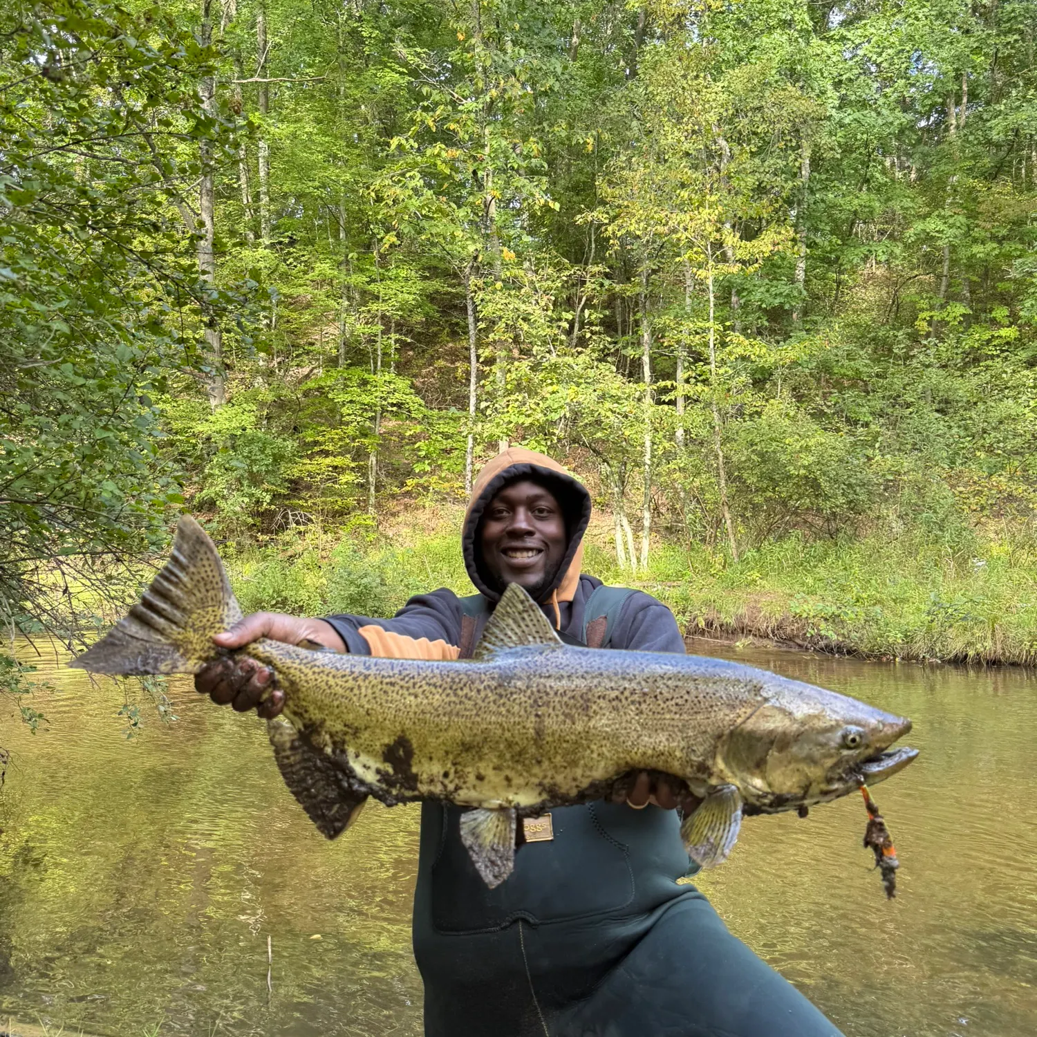 Chinook salmon caught on Fishbrain