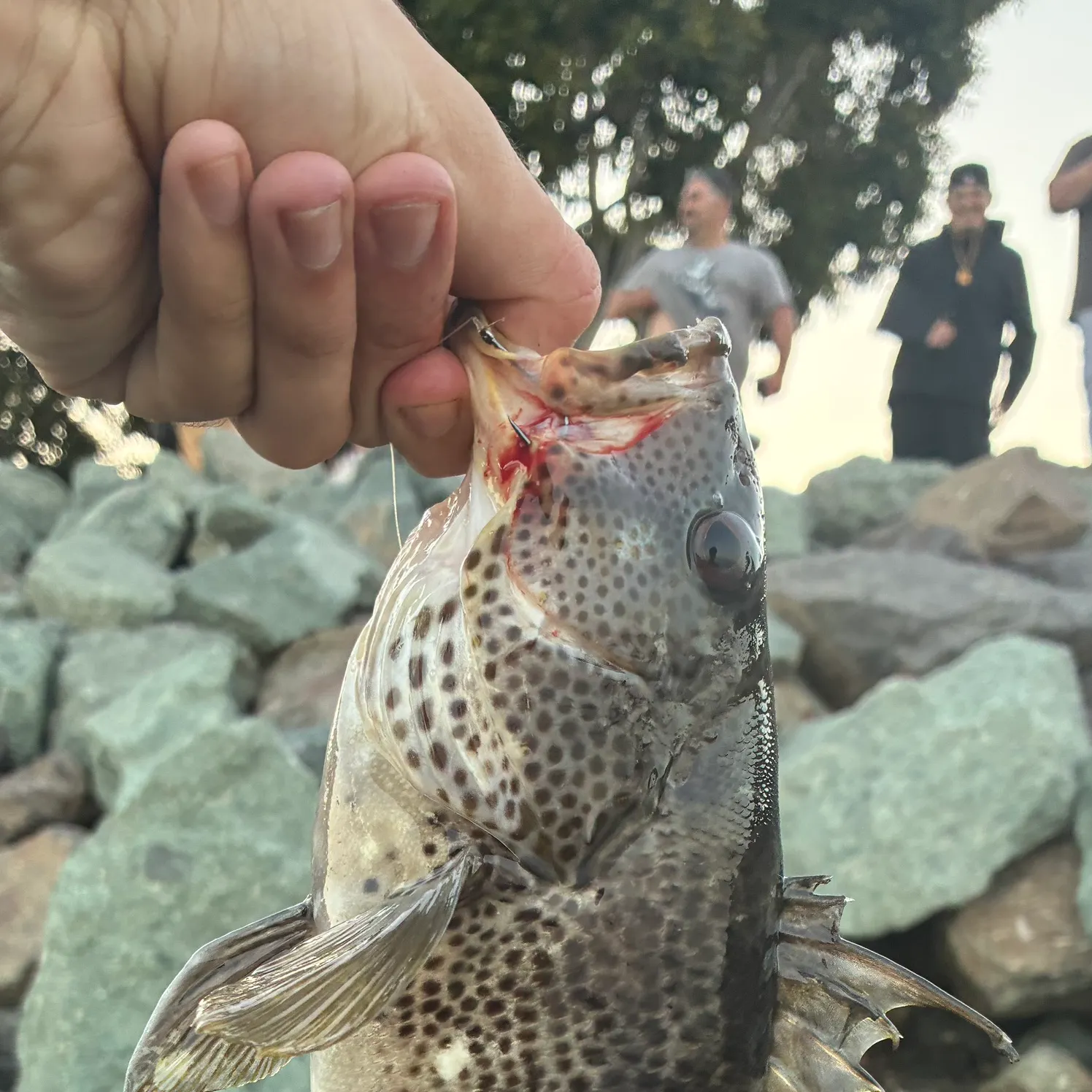 catch