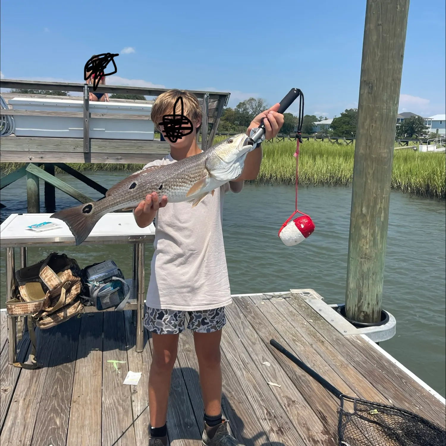 Red drum caught on Fishbrain