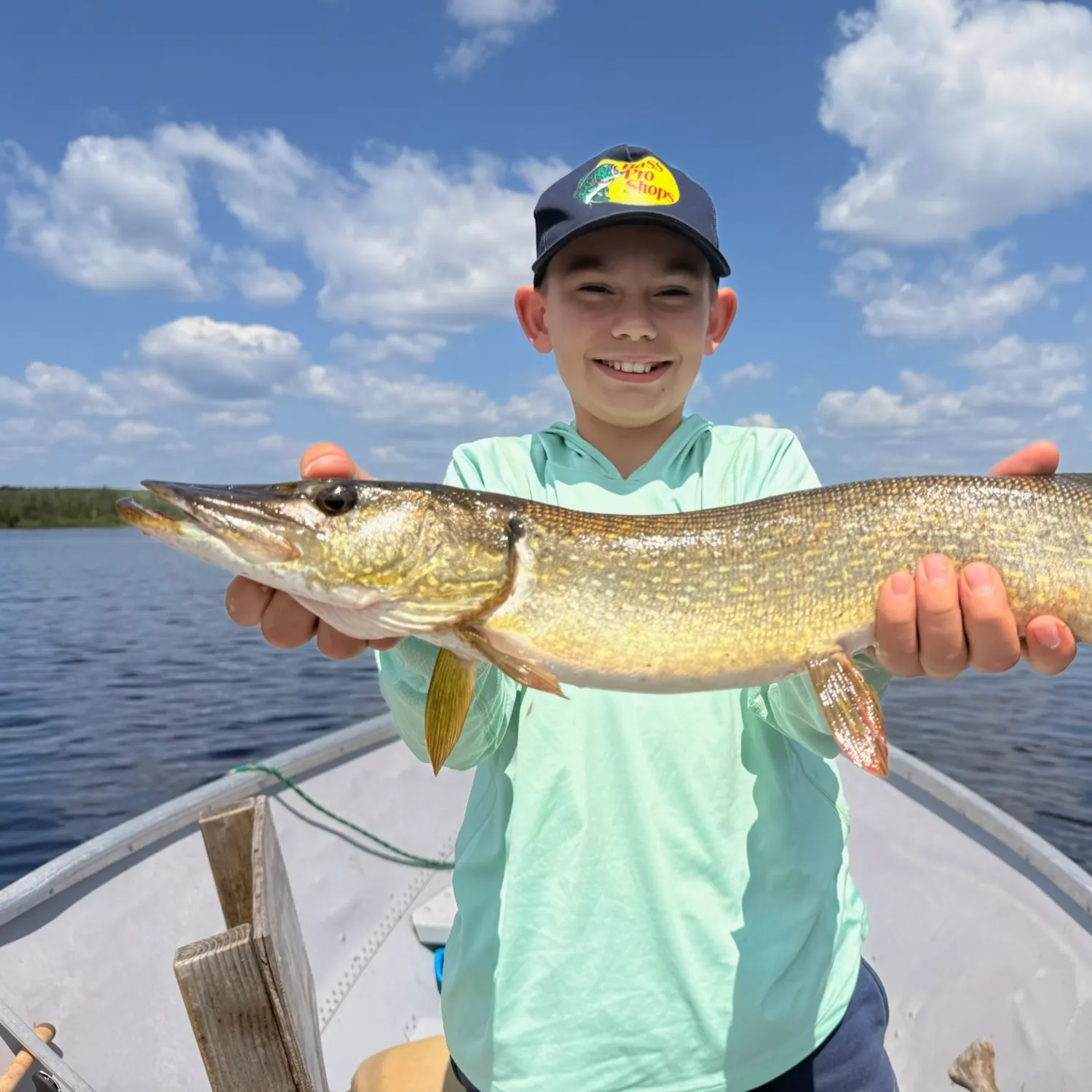 The most recent Northern pike catches on Fishbrain
