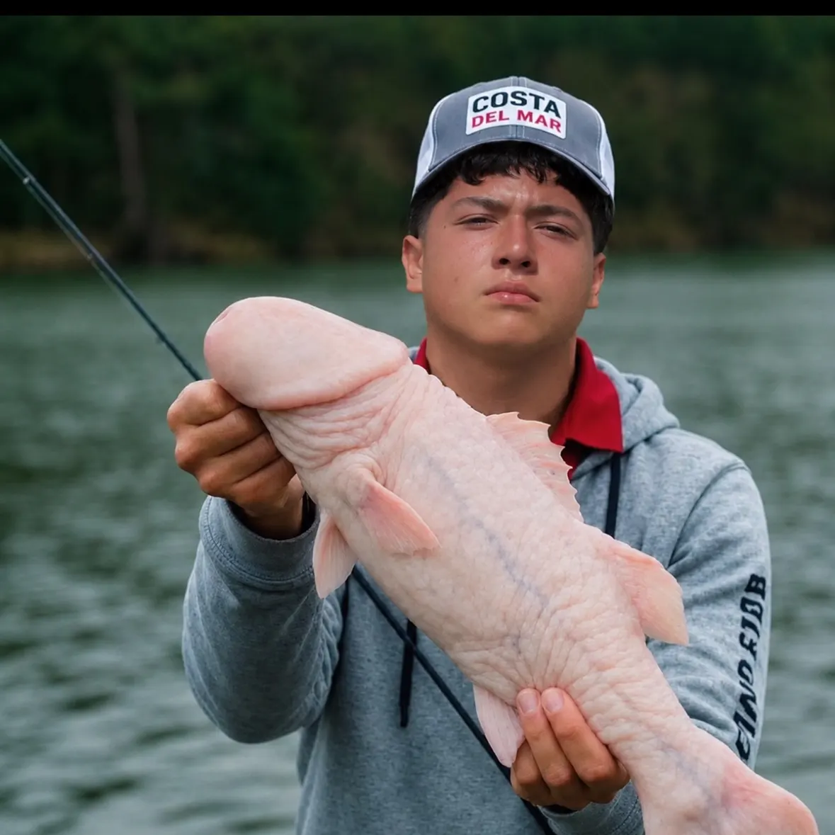 Blue catfish caught on Fishbrain