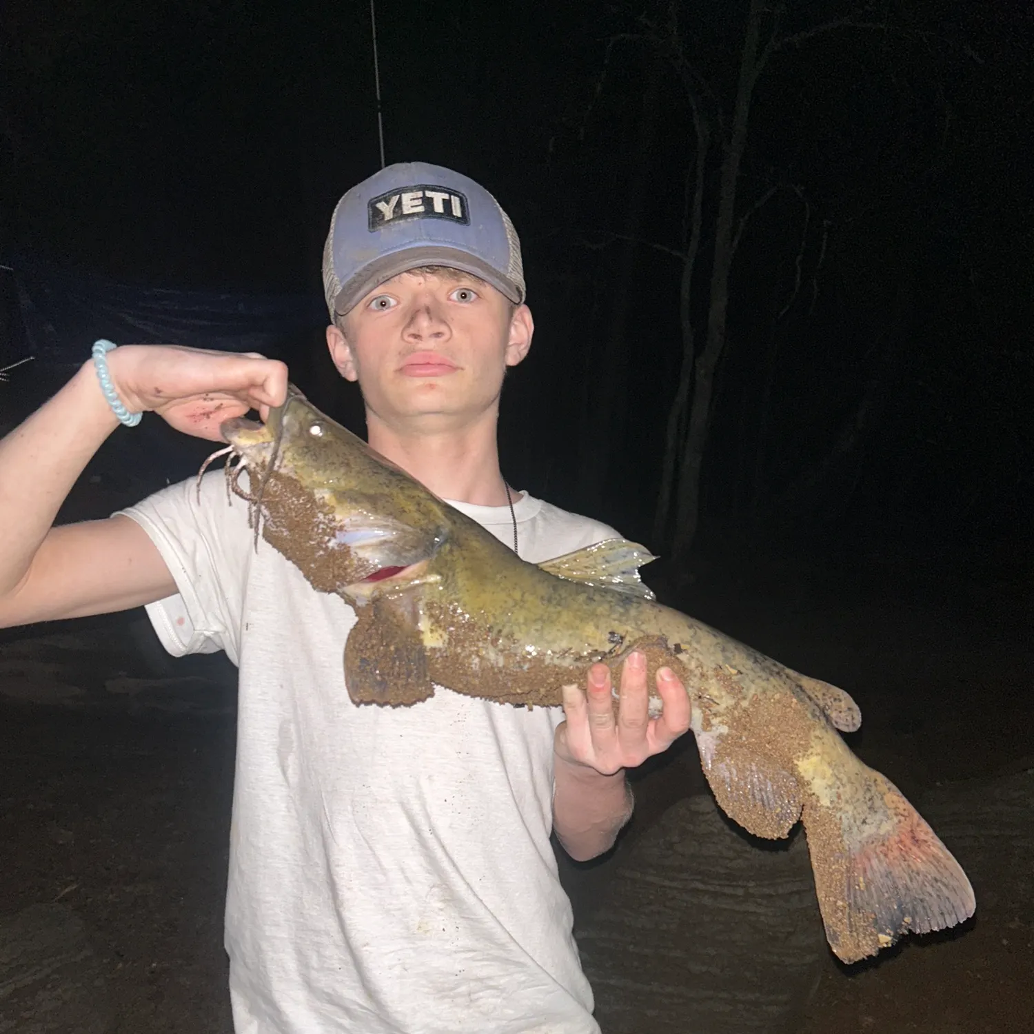 Flathead catfish caught on Fishbrain