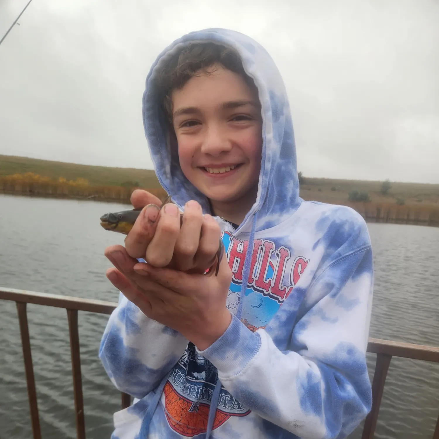 Yellow bullhead caught on Fishbrain