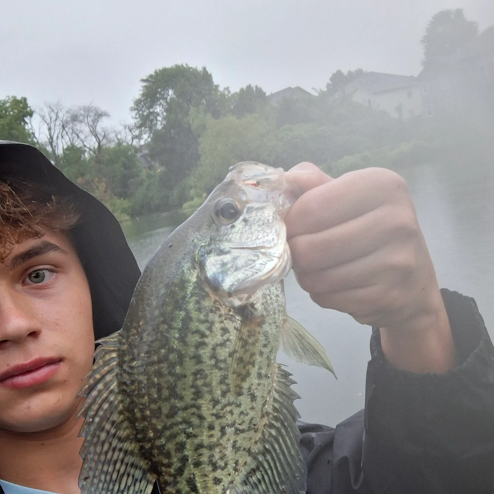 Black crappie caught on Fishbrain