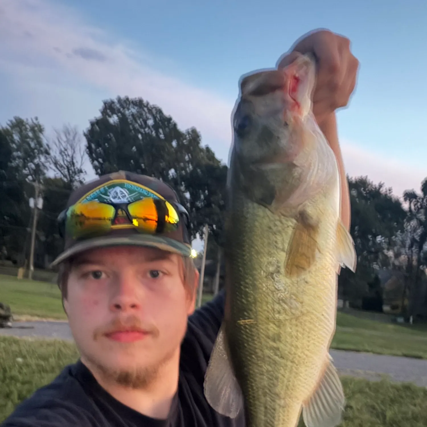 Largemouth bass caught on Fishbrain