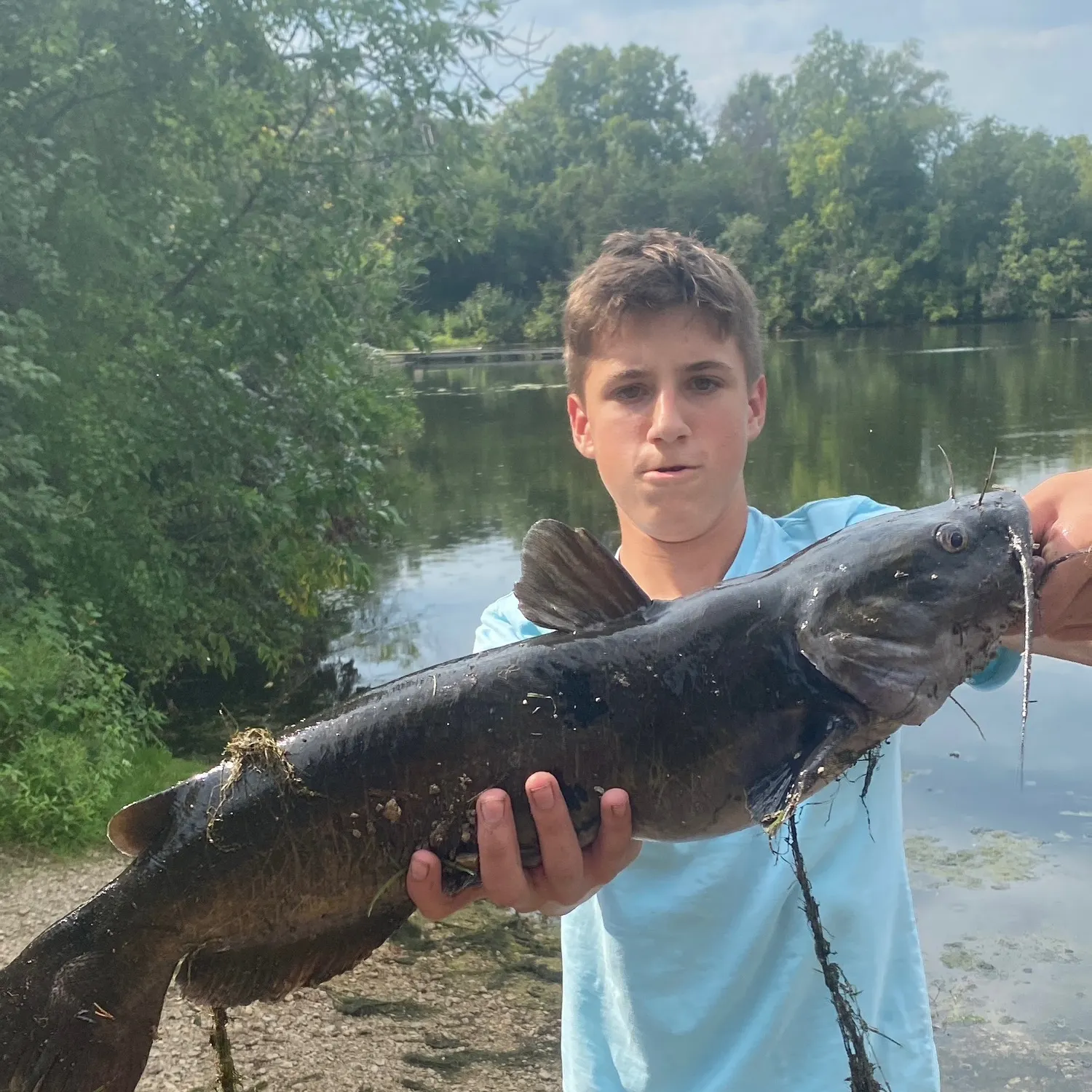Channel catfish caught on Fishbrain