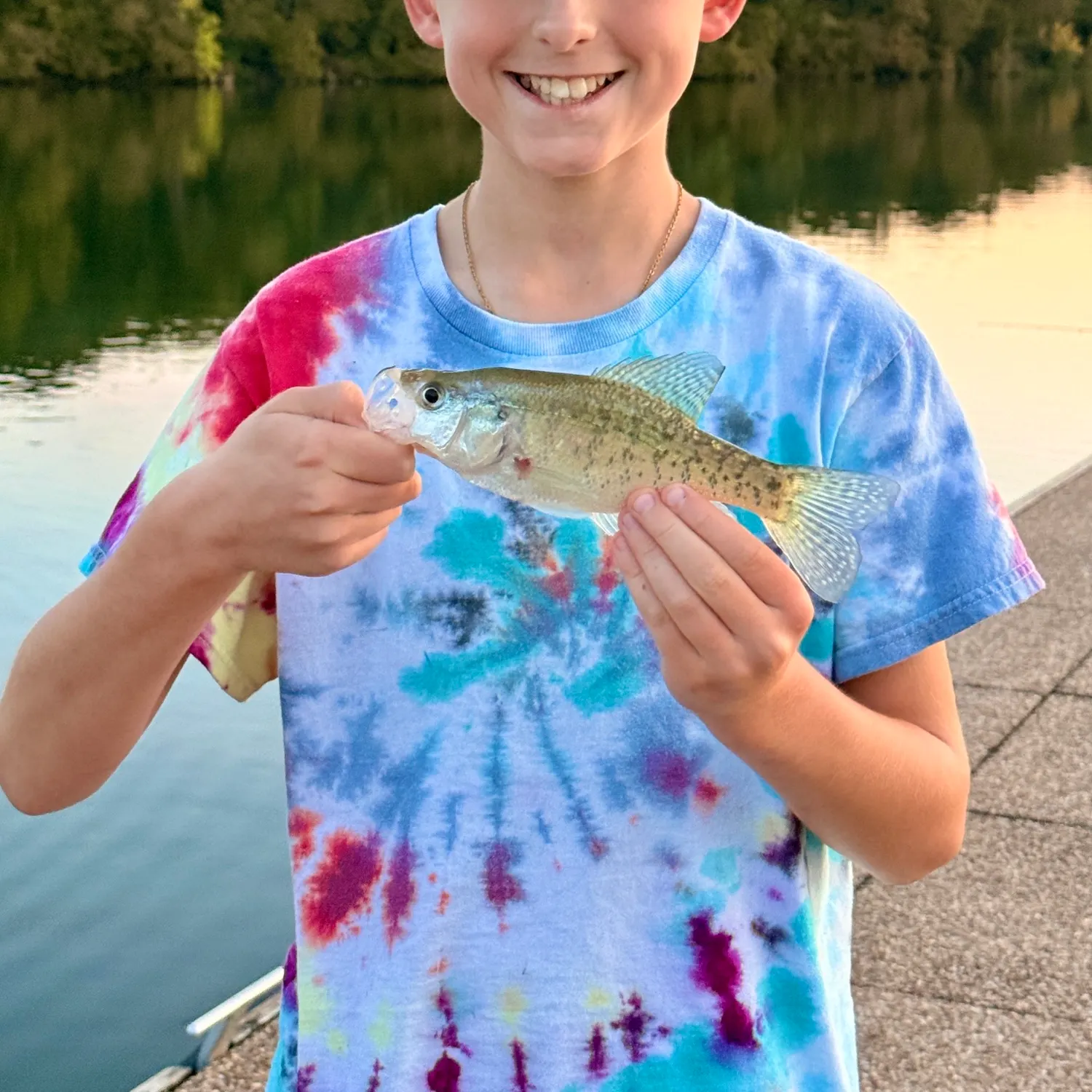 White crappie caught on Fishbrain