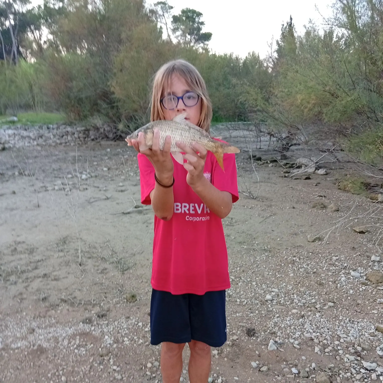 Common carp caught on Fishbrain