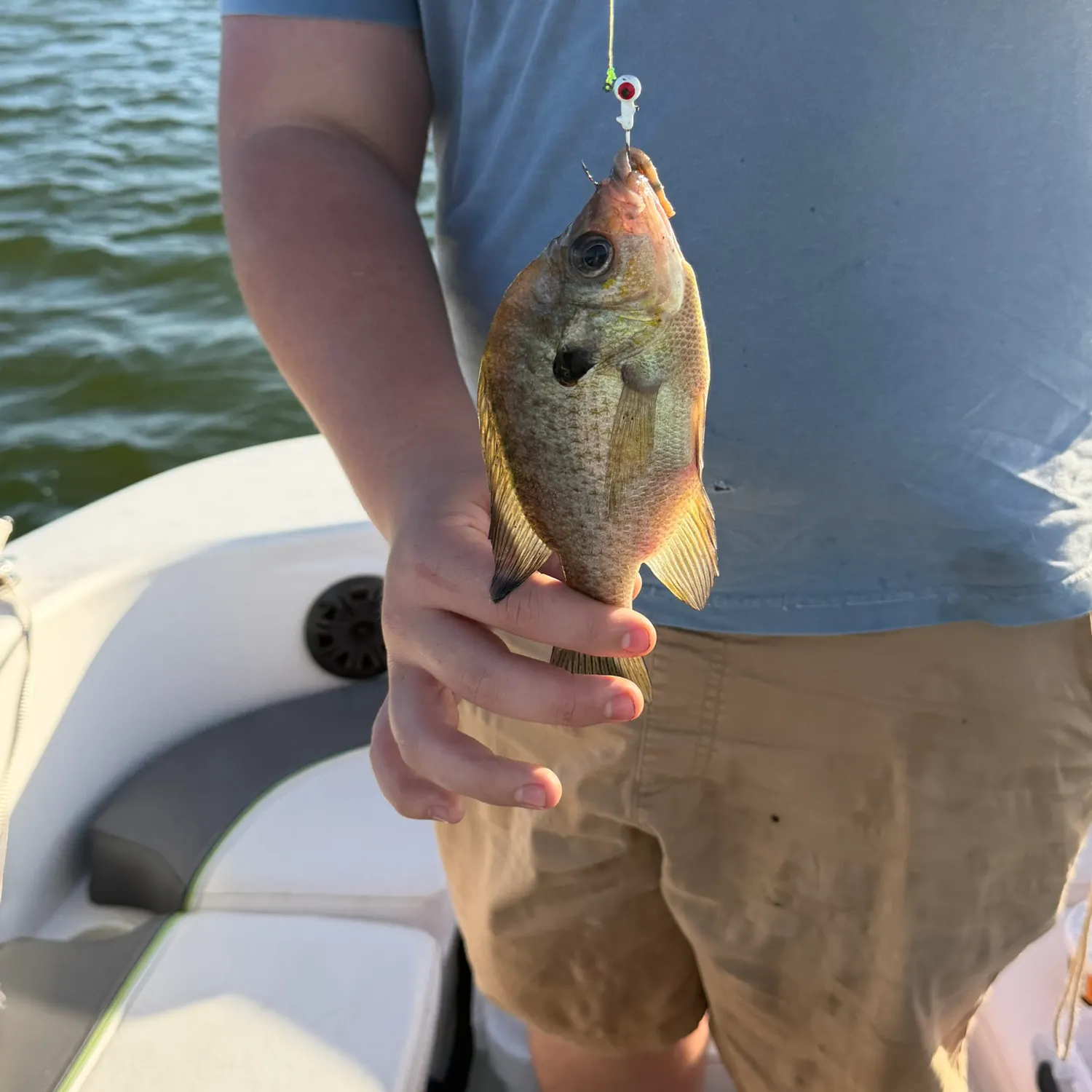 Bluegill caught on Fishbrain