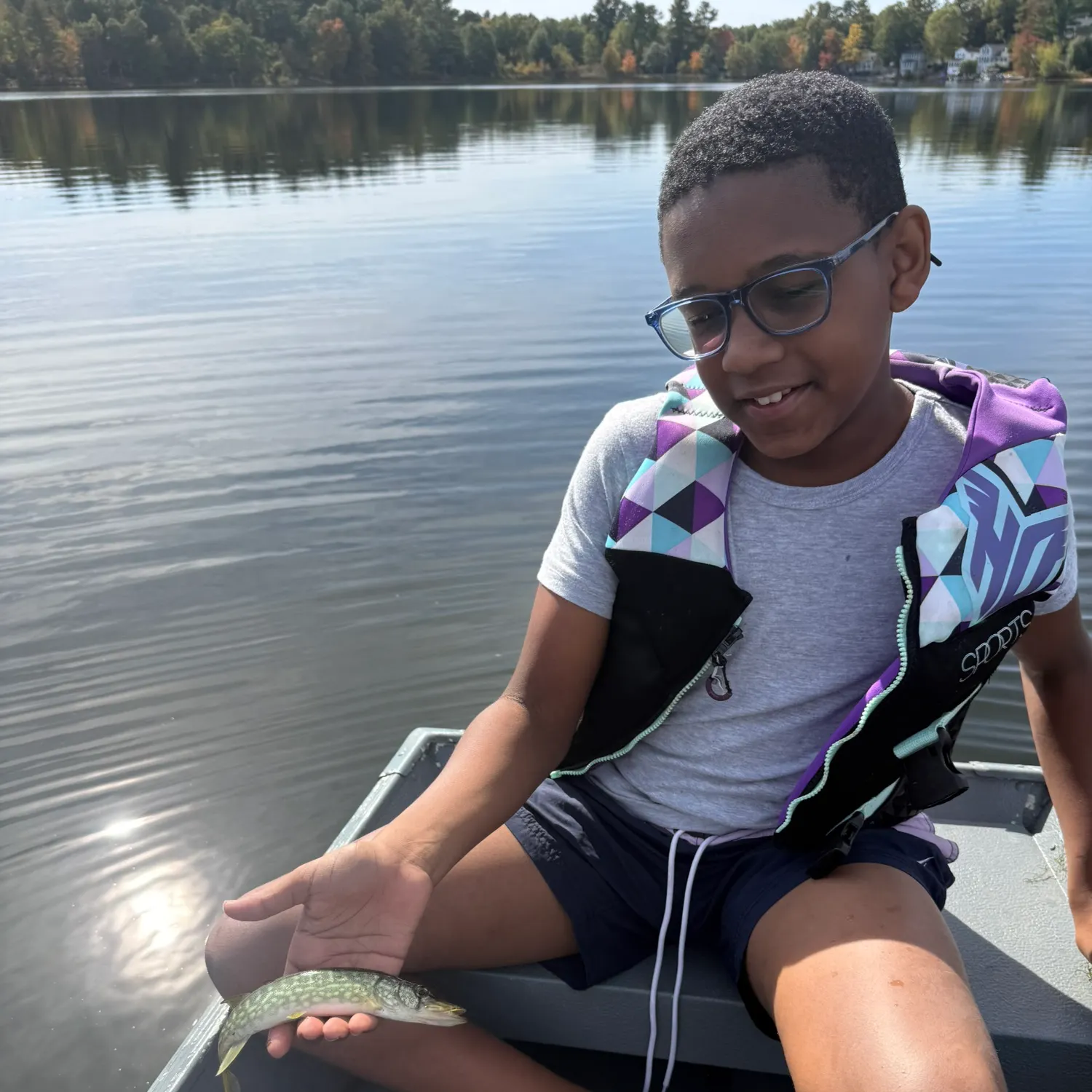 Chain pickerel caught on Fishbrain