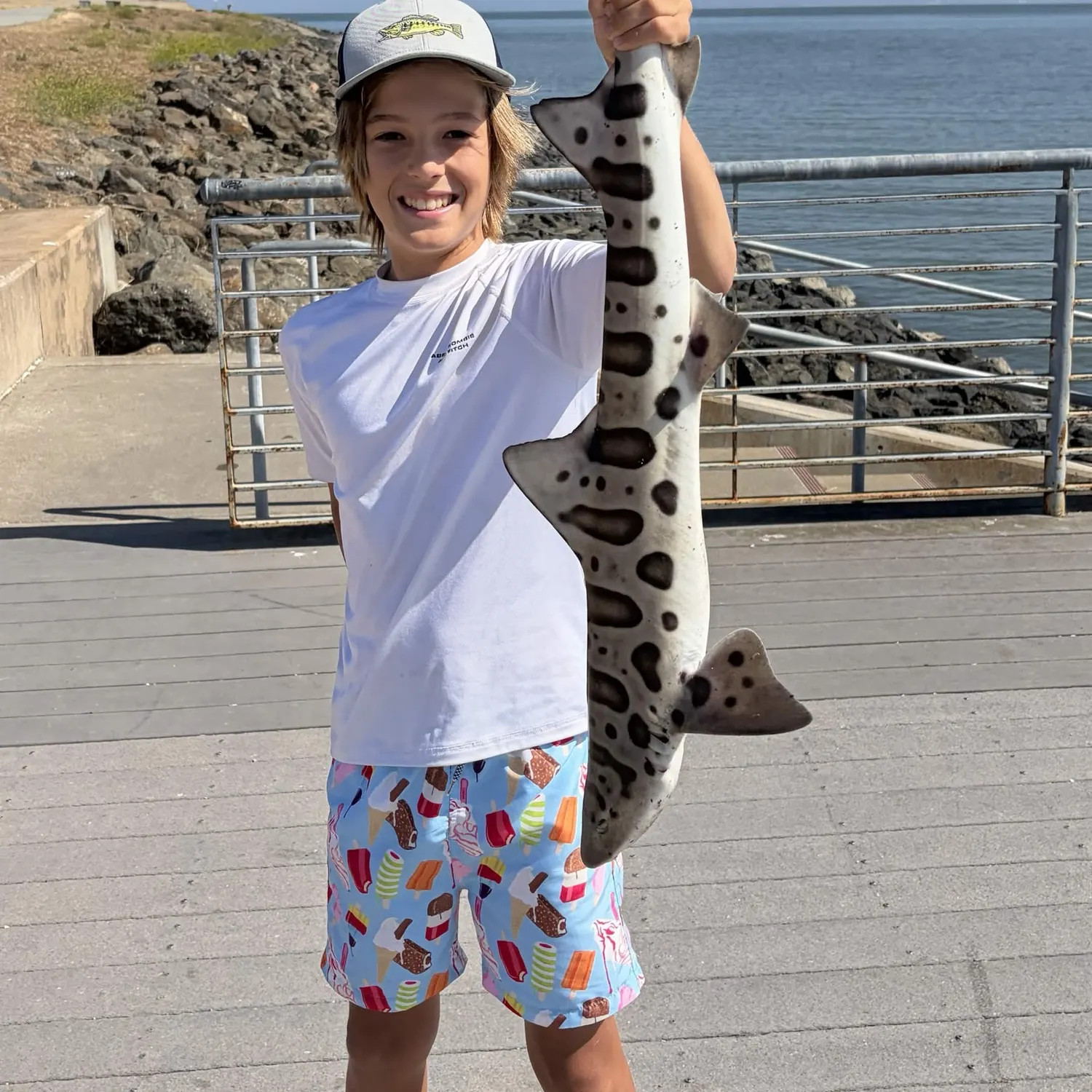 The most recent Leopard shark catches on Fishbrain