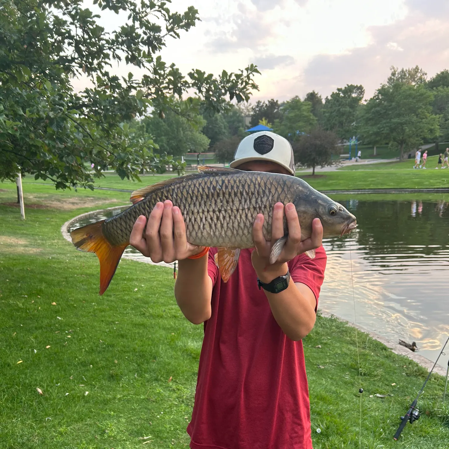 catch