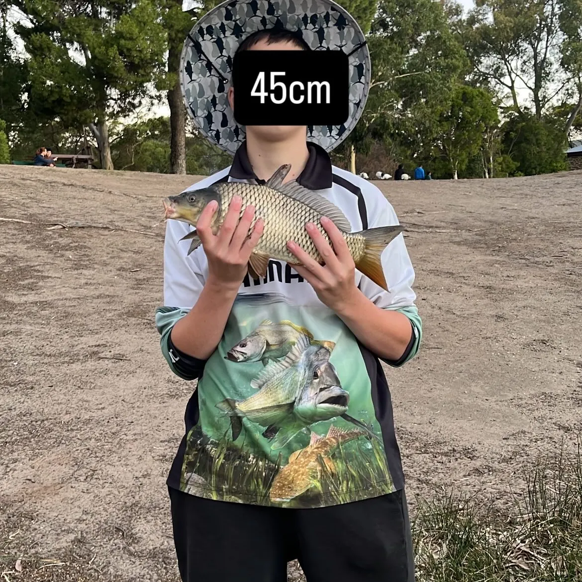 The most recent Common carp catches on Fishbrain