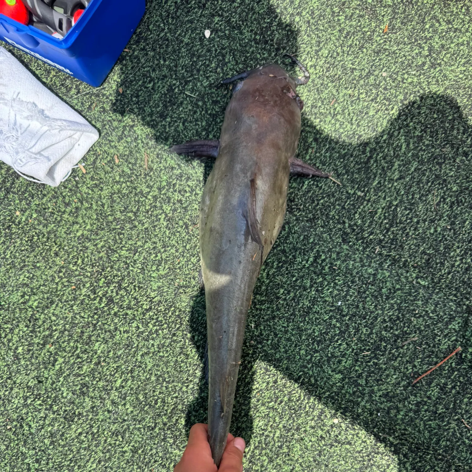 catch