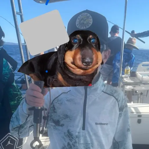 Silver sweep caught on Fishbrain