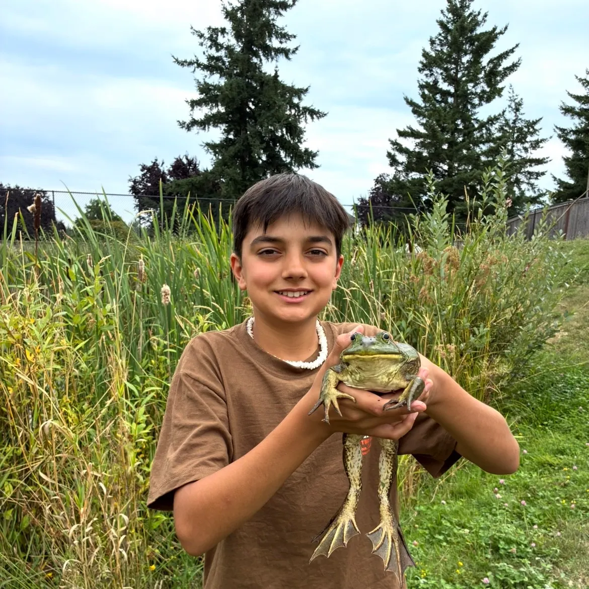 The most recent Black marlin catches on Fishbrain