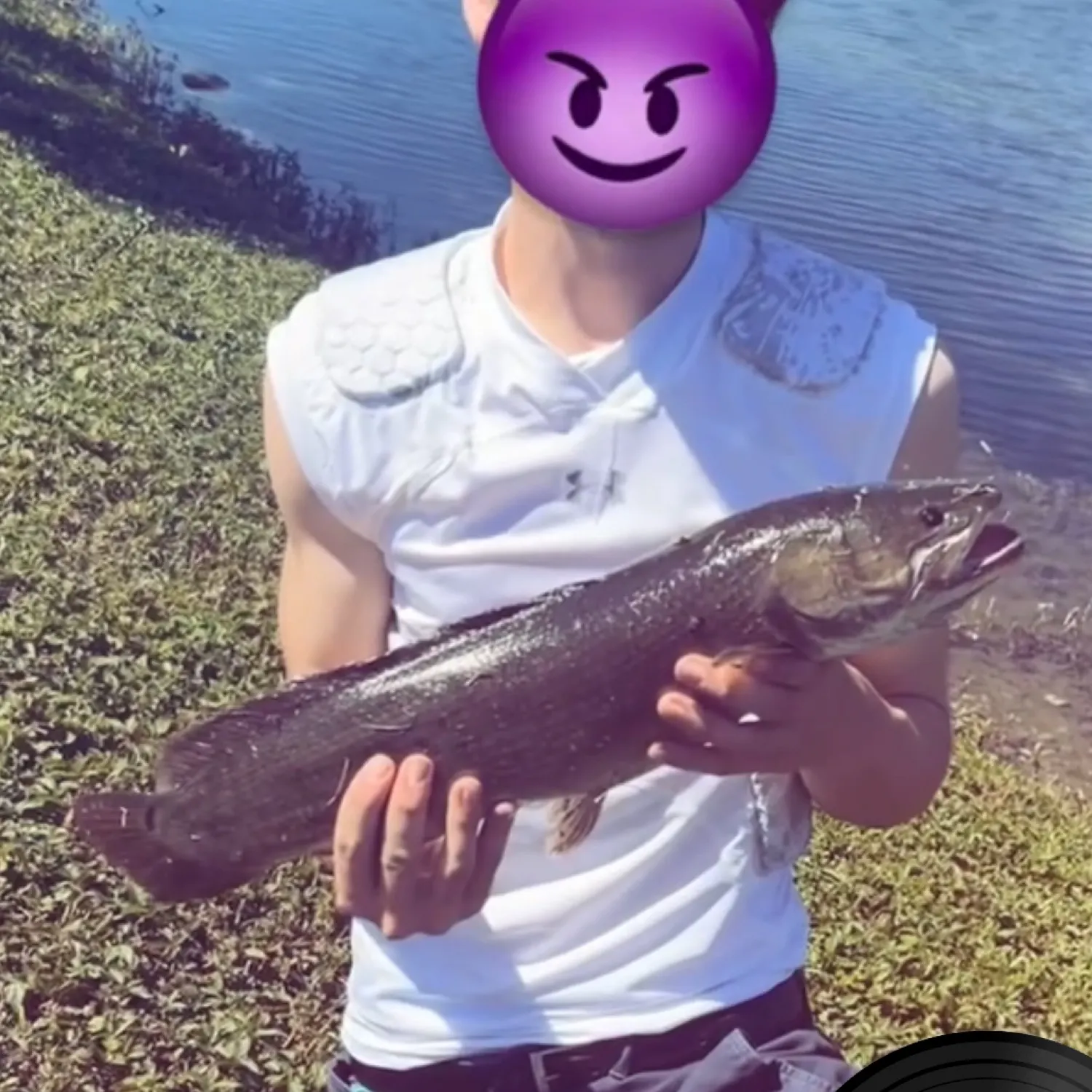 Ruddy bowfin caught on Fishbrain