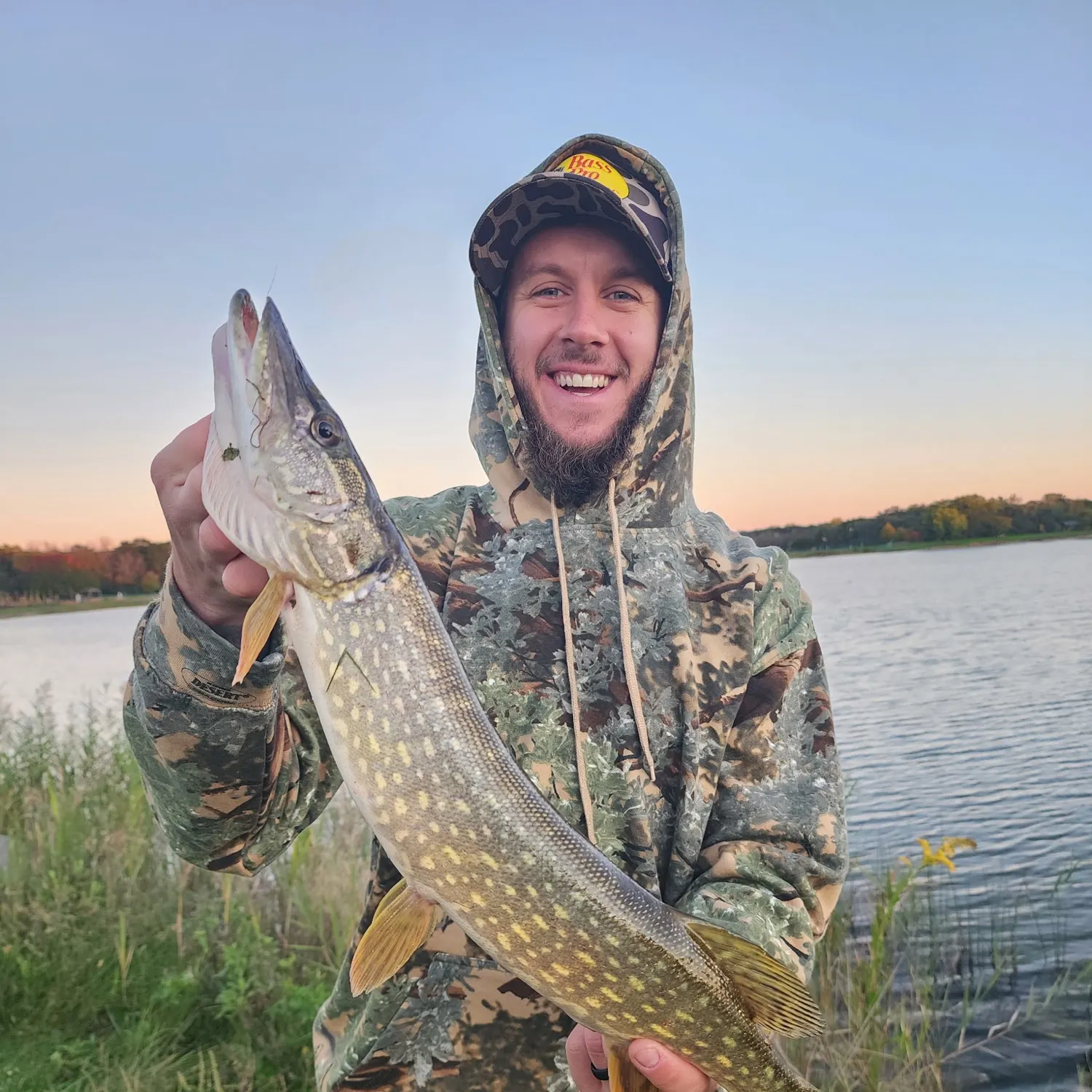 Northern pike caught on Fishbrain