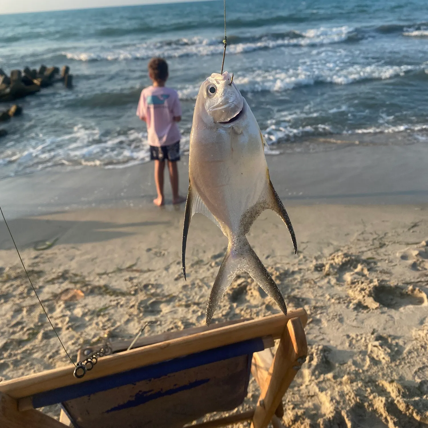 The most recent Permit catches on Fishbrain