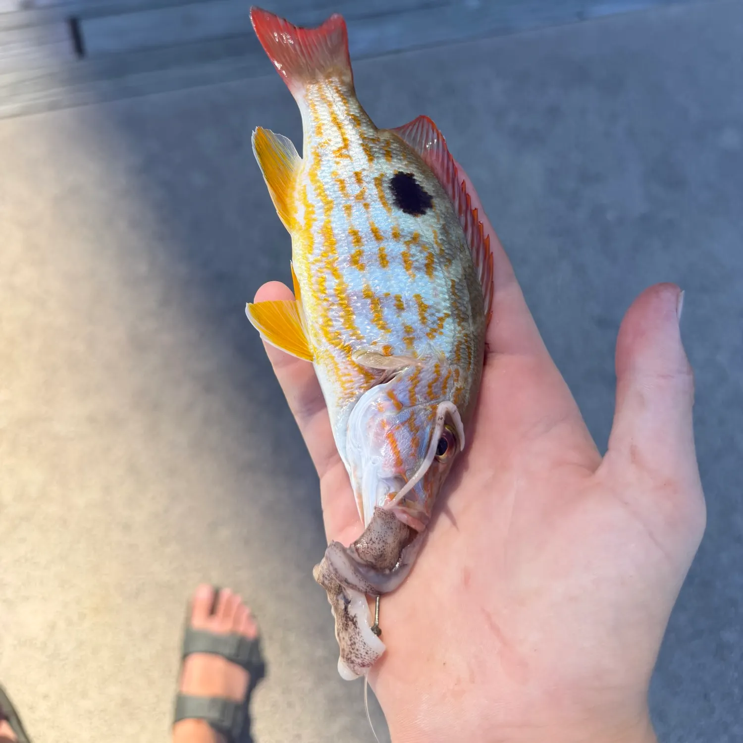 catch