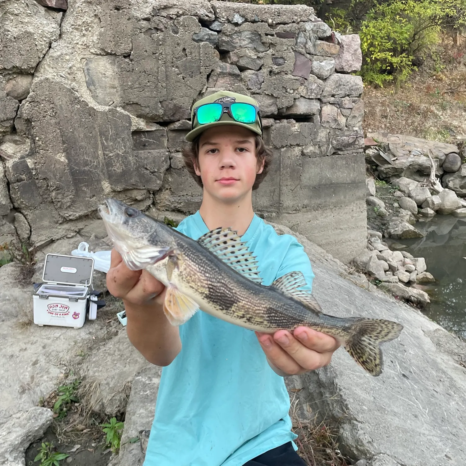 Sauger caught on Fishbrain
