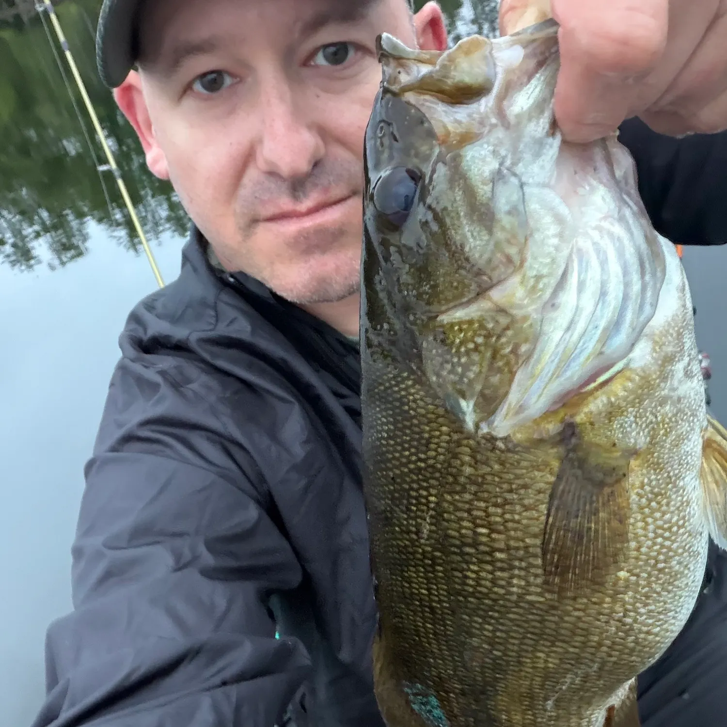 Smallmouth bass caught on Fishbrain