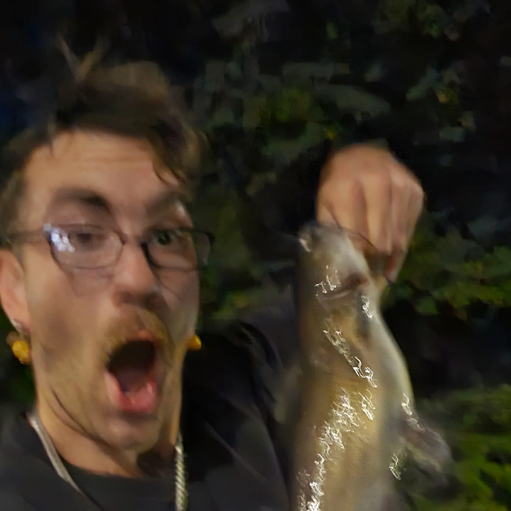 Channel catfish caught on Fishbrain