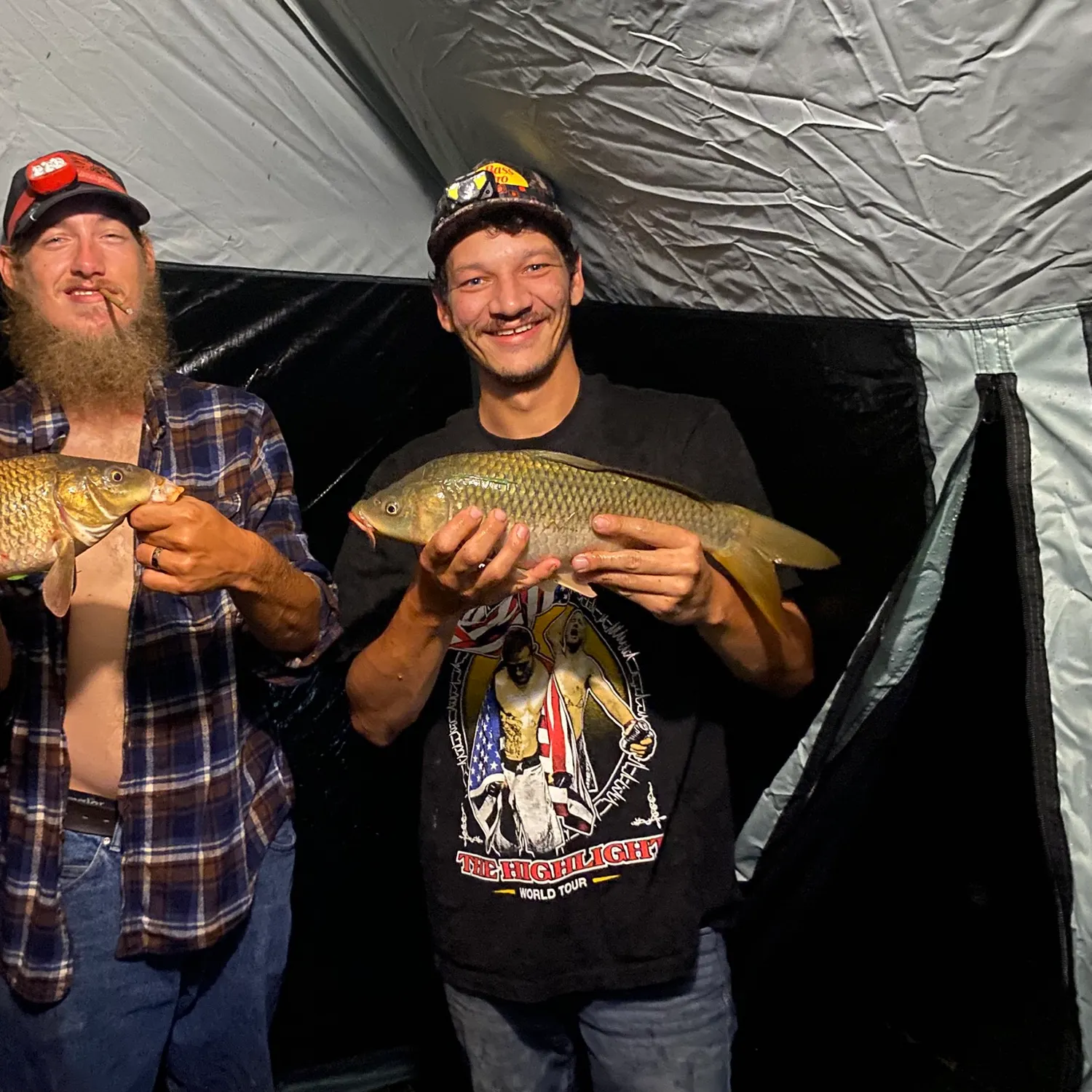 Common carp caught on Fishbrain