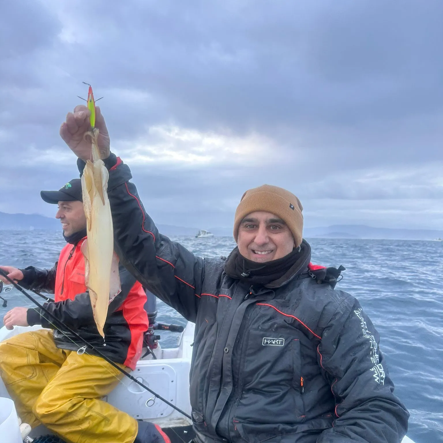 The most recent Bigfin reef squid catches on Fishbrain