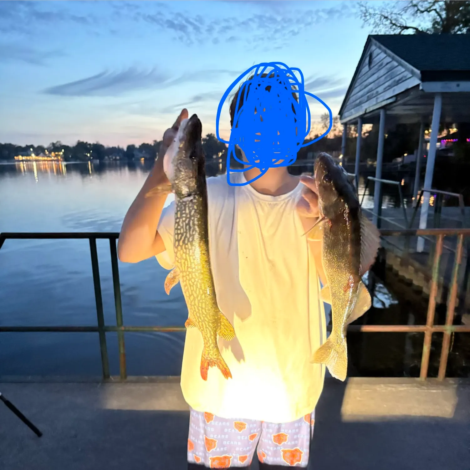 Northern pike caught on Fishbrain
