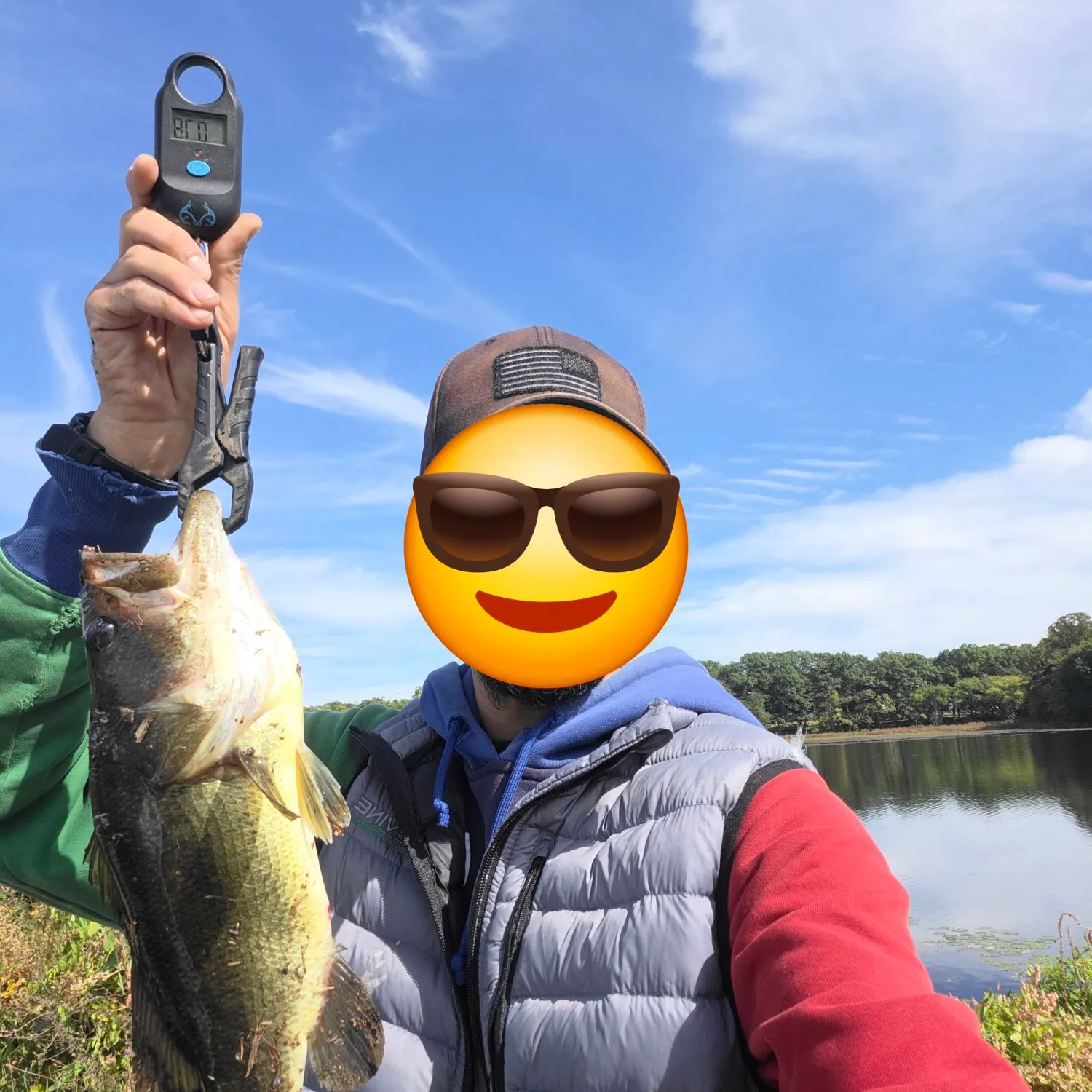 Largemouth bass caught on Fishbrain
