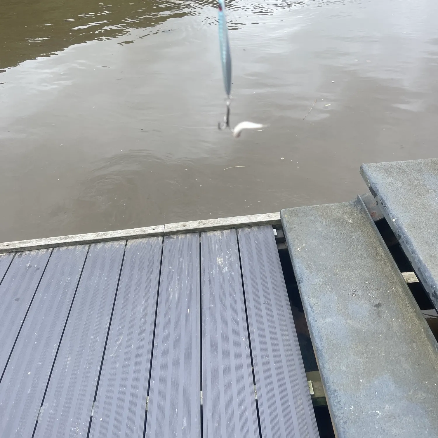 The most recent Stargazing minnow catches on Fishbrain