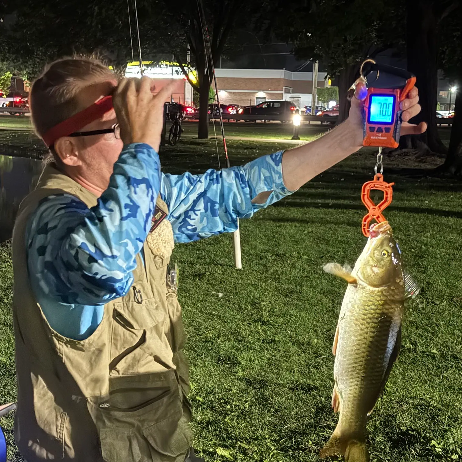Common carp caught on Fishbrain