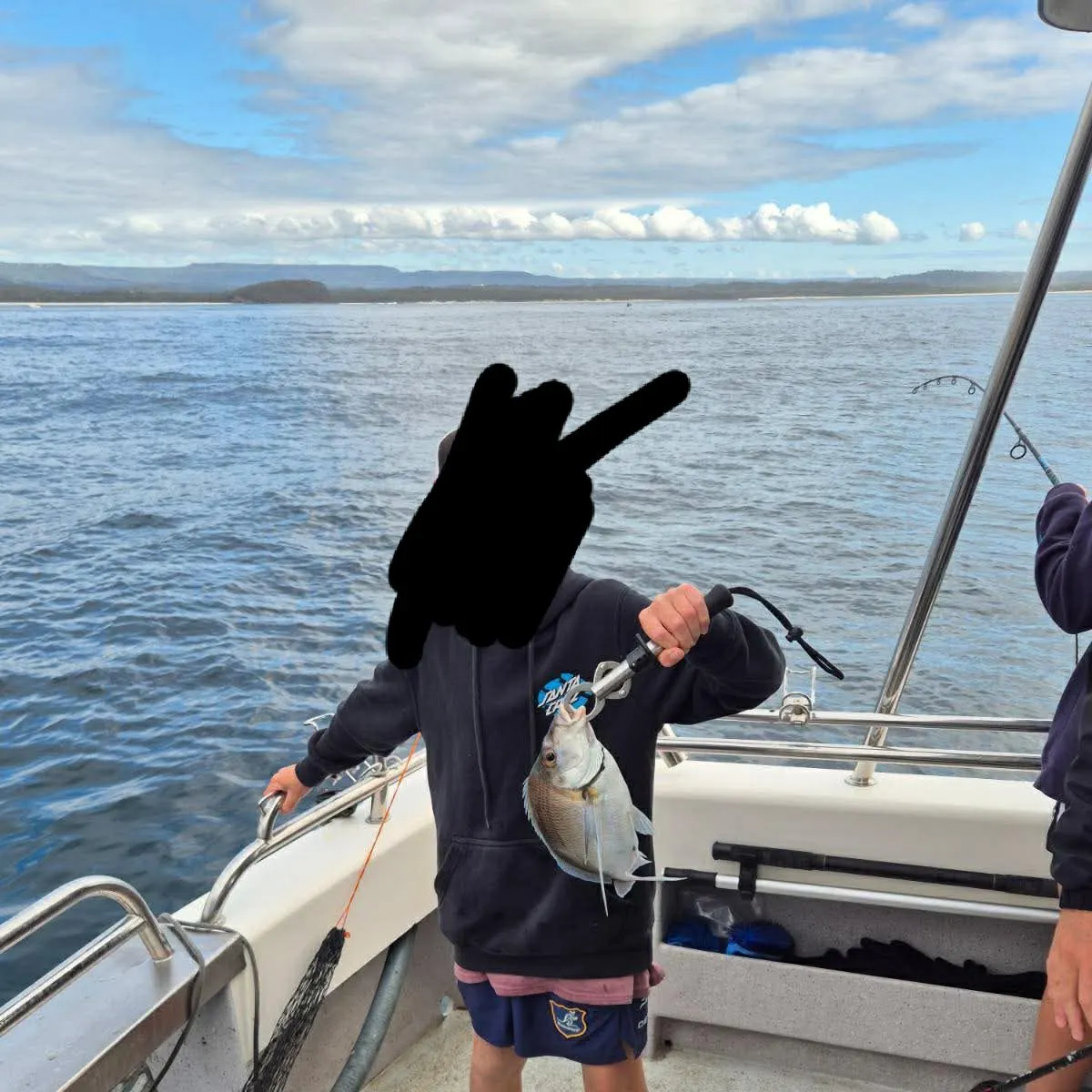 The most recent Jackass morwong catches on Fishbrain