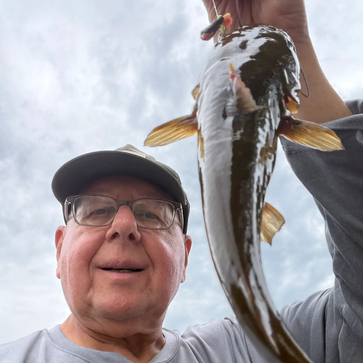Yellow bullhead caught on Fishbrain