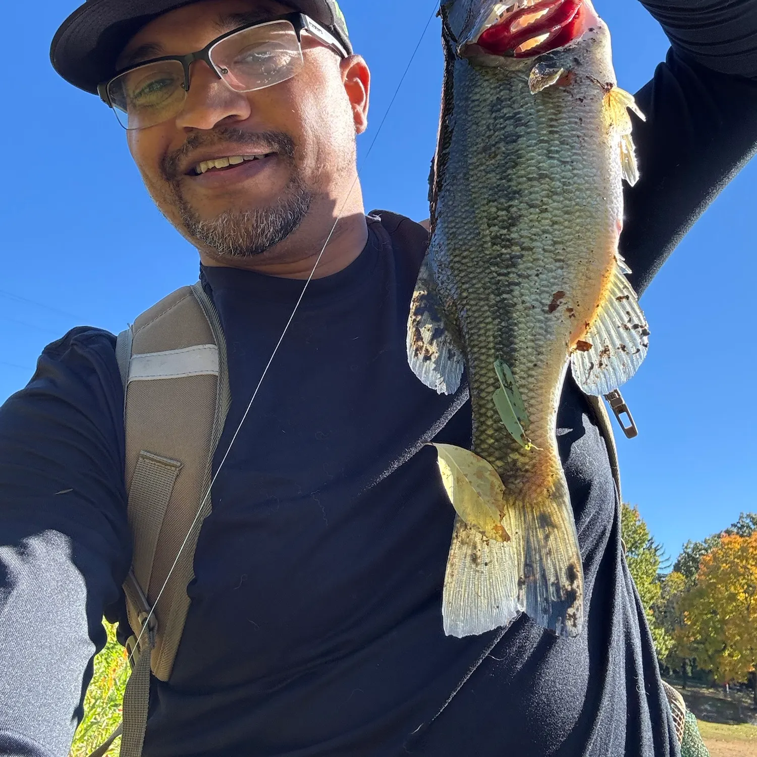Largemouth bass caught on Fishbrain