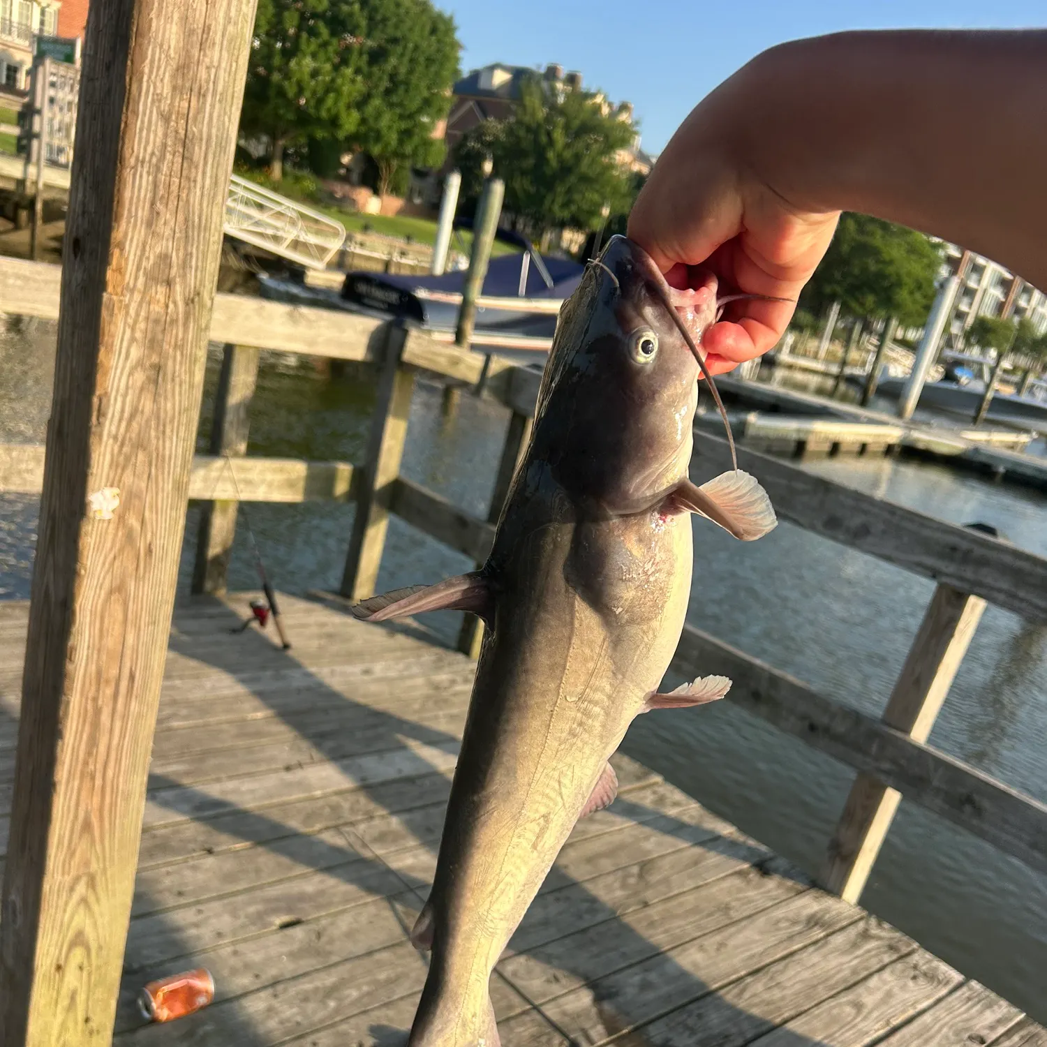 catch