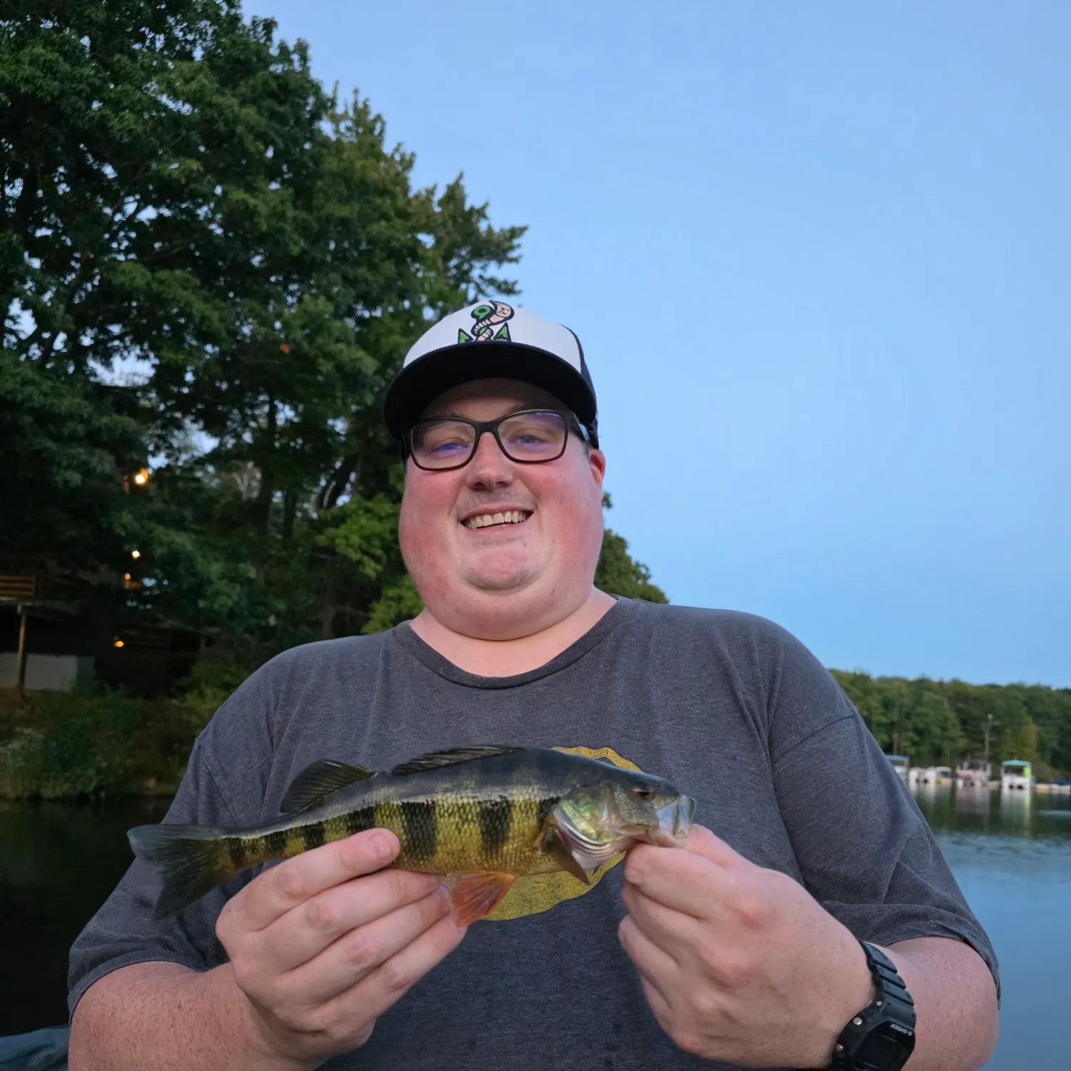 Yellow perch caught on Fishbrain