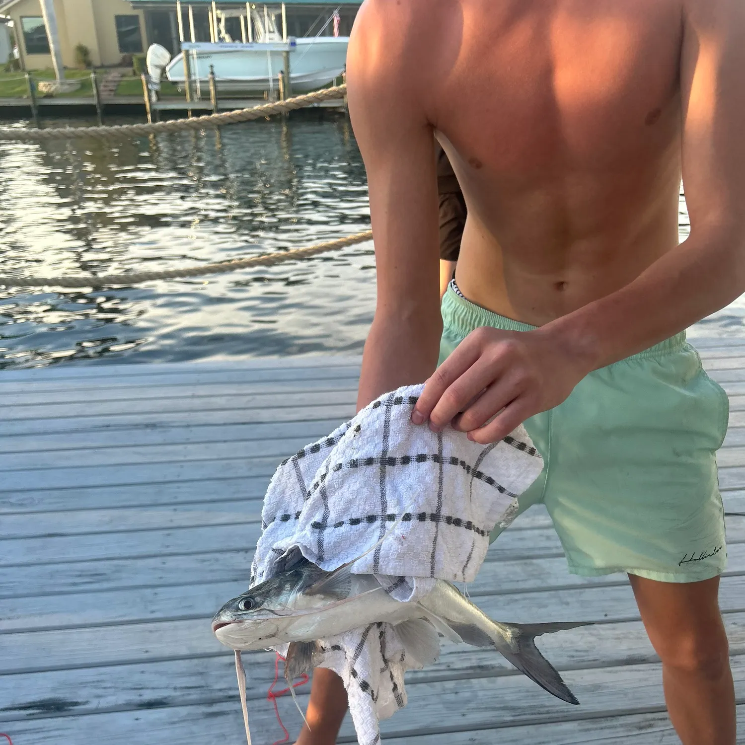 The most recent Palometa catches on Fishbrain