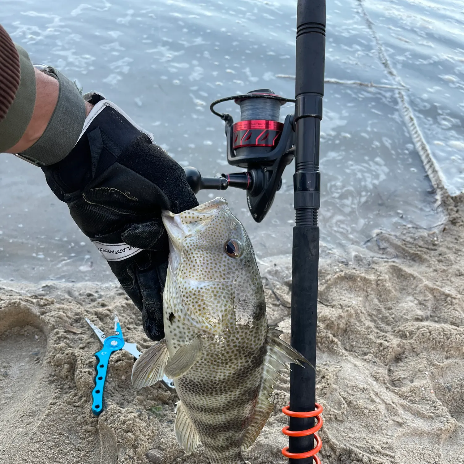 catch