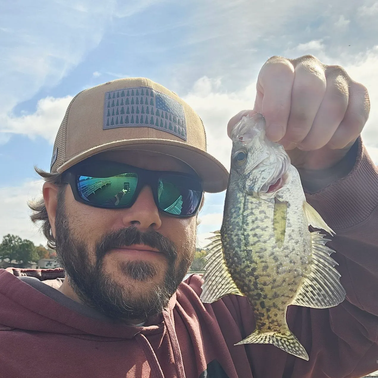 Black crappie caught on Fishbrain