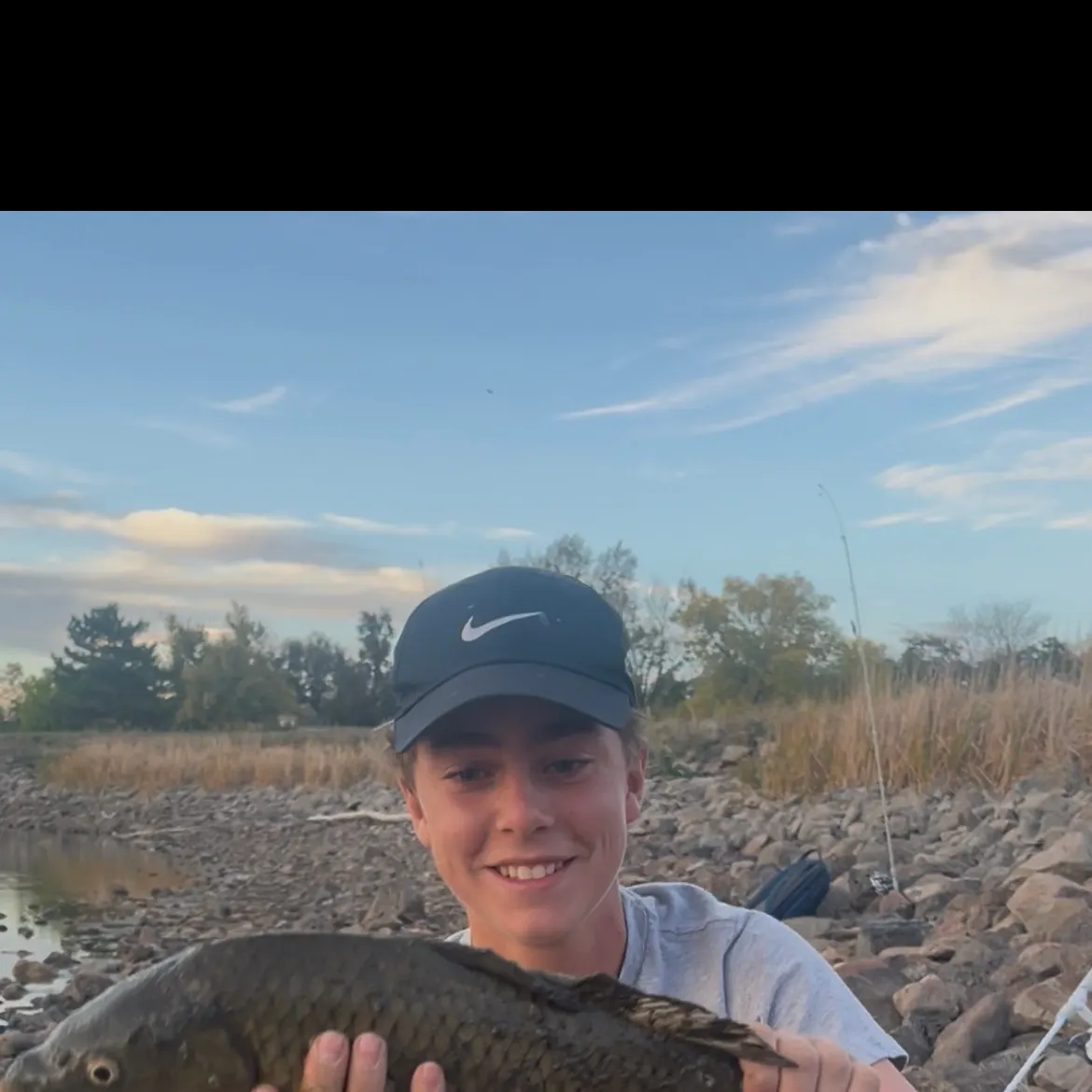 Common carp caught on Fishbrain