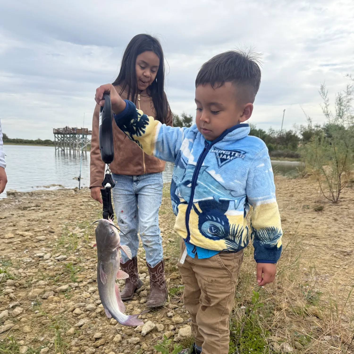 Blue catfish caught on Fishbrain