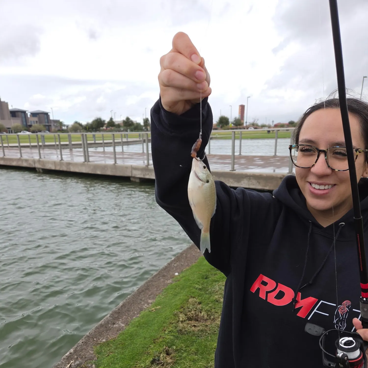 Bluegill caught on Fishbrain