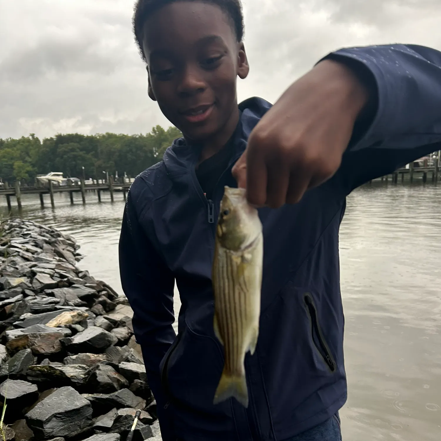 Striped bass caught on Fishbrain