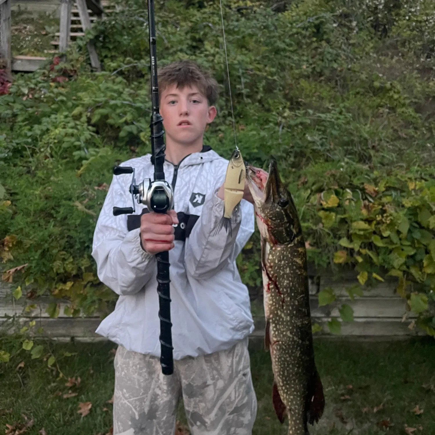 Northern pike caught on Fishbrain