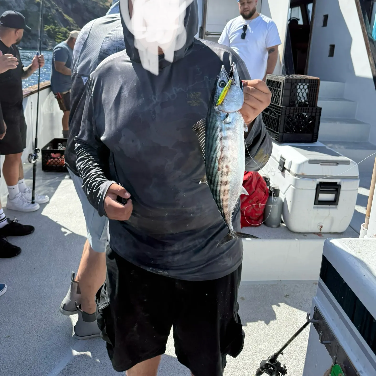 The most recent Pacific bonito catches on Fishbrain